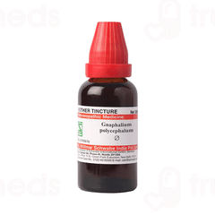 Dr Willmar Schwabe Gnaphalium Polycephalum Q Mother Tincture 30ml