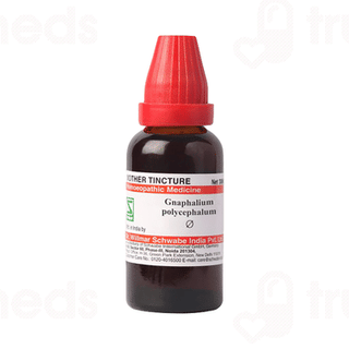 Dr Willmar Schwabe Gnaphalium Polycephalum Q Mother Tincture 30ml