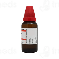 Dr Willmar Schwabe Gnaphalium Polycephalum Q Mother Tincture 30ml