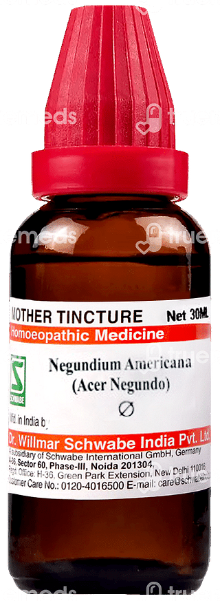 Dr Willmar Negundium Americana (acer Negundo) Q Mother Tincture 30ml
