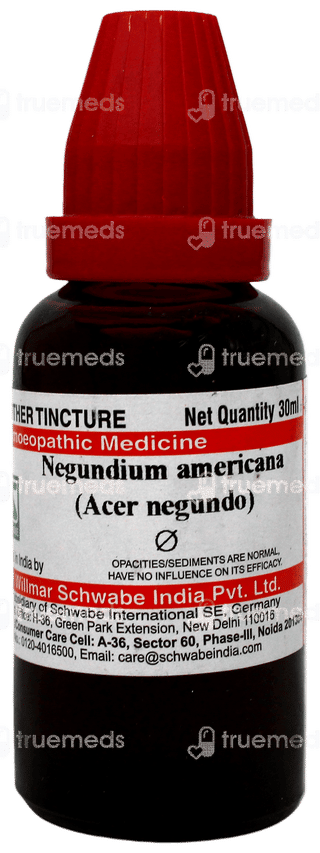 Dr Willmar Schwabe Negundium Americana Acer Negundo Q Mother Tincture 30ml