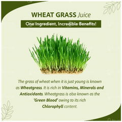 Sri Sri Tattva Wheat Grass No Added Sugar Juice 1 L