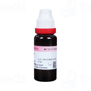 Dr Reckeweg Camphora Q Mother Tincture 20ml