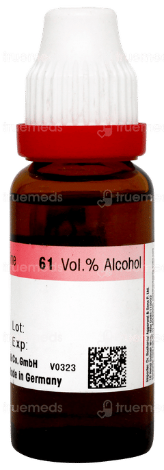 Dr Reckeweg Carica Papaya Q Mother Tincture 20ml