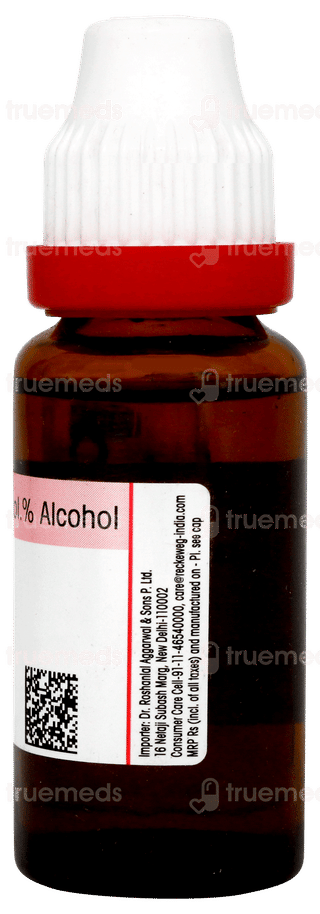 Dr Reckeweg Carica Papaya Q Mother Tincture 20ml