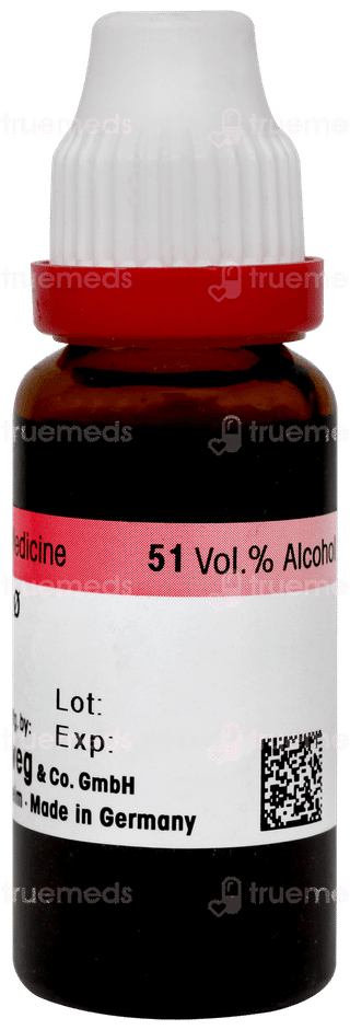 Dr Reckeweg Urtica Urens Q Mother Tincture 20ml