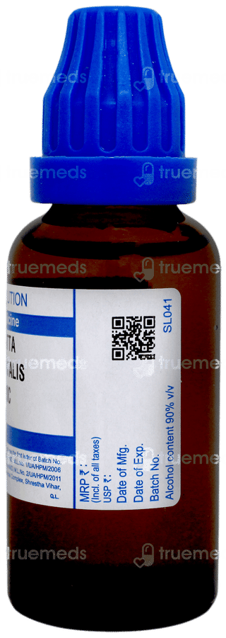 Sbl Blatta Orientalis 200c Dilution 30ml