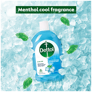 Dettol  Menthol Cool Disinfectant Liquid 550ml
