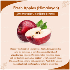 Sri Sri Tattva Apple Cider Vinegar 500ml