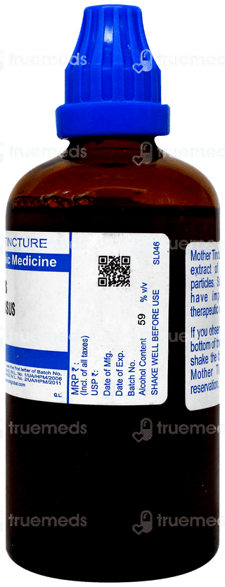 Sbl Fucus Vesiculosus Q Mother Tincture 100ml