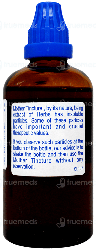 Sbl Fucus Vesiculosus Q Mother Tincture 100ml