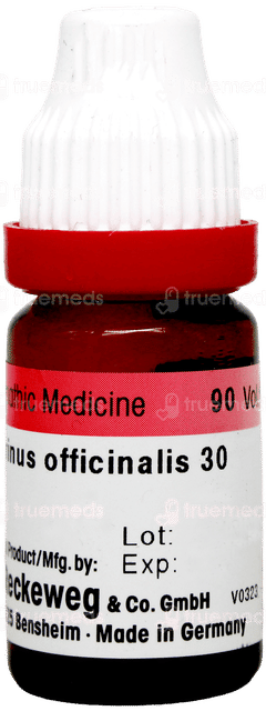 Dr Reckeweg Rosmarinus Officinalis 30 Dilution 11ml