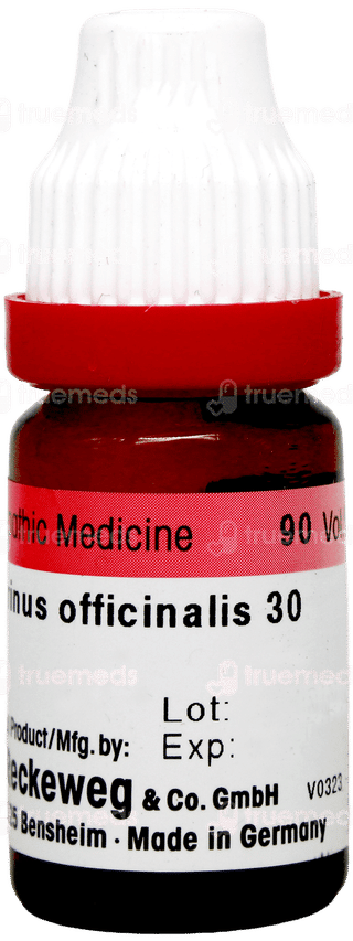 Dr Reckeweg Rosmarinus Officinalis 30 Dilution 11ml