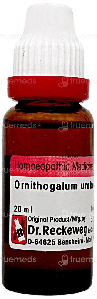 Dr Reckeweg Ornithogalum Q Mother Tincture 20ml