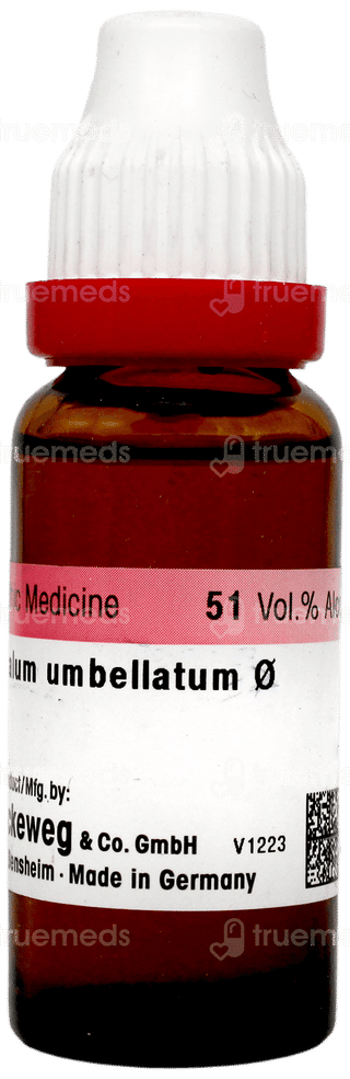 Dr Reckeweg Ornithogalum Q Mother Tincture 20ml