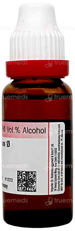 Dr Reckeweg Ornithogalum Q Mother Tincture 20ml