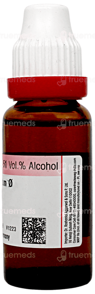 Dr Reckeweg Ornithogalum Q Mother Tincture 20ml