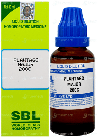Sbl Plantago Major 200c Dilution 30ml