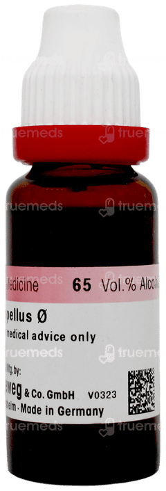 Dr Reckeweg Aconitum Napellus Q Mother Tincture 20ml