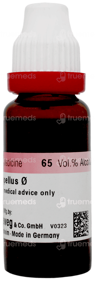 Dr Reckeweg Aconitum Napellus Q Mother Tincture 20ml