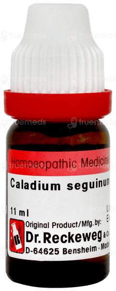 Dr Reckeweg Caladium Seguinum 30 Dilution 11ml