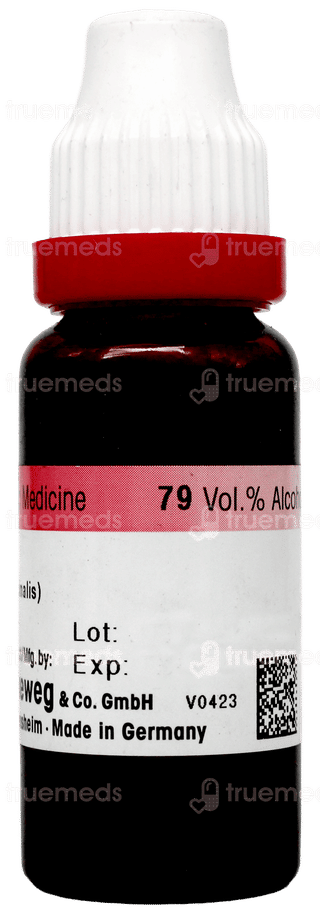 Dr Reckeweg China Q Mother Tincture 20ml