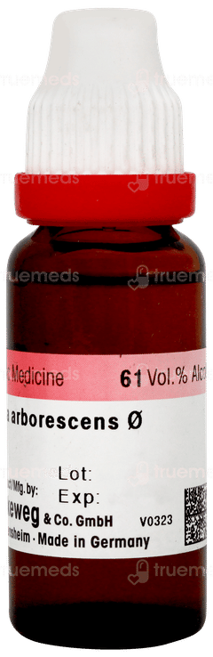 Dr Reckeweg Hydrangea Arborescens Q Mother Tincture 20ml