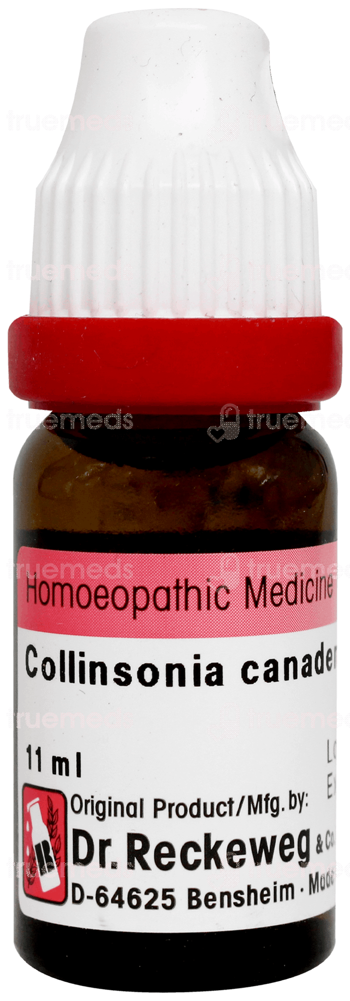 Dr Reckeweg Collinsonia Canadensis 30 Dilution 11ml - Uses, Side ...