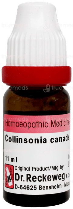 Dr Reckeweg Collinsonia Canadensis 30 Dilution 11ml