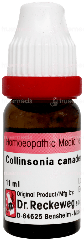 Dr Reckeweg Collinsonia Canadensis 30 Dilution 11ml