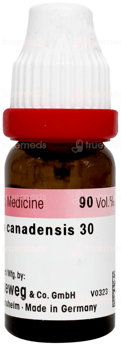 Dr Reckeweg Collinsonia Canadensis 30 Dilution 11ml