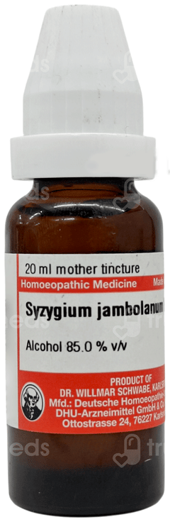 Dr Willmar Schwabe Syzygium Jambolanum Q Mother Tincture 20ml