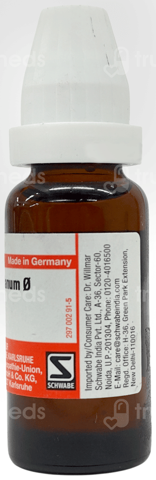 Dr Willmar Schwabe Syzygium Jambolanum Q Mother Tincture 20Ml