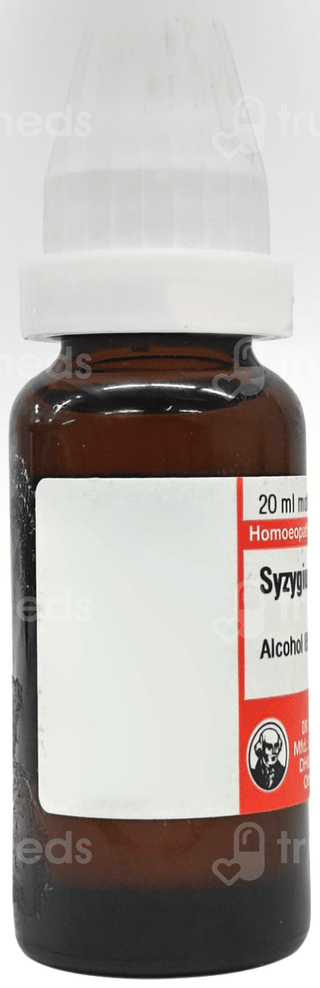 Dr Willmar Schwabe Syzygium Jambolanum Q Mother Tincture 20Ml