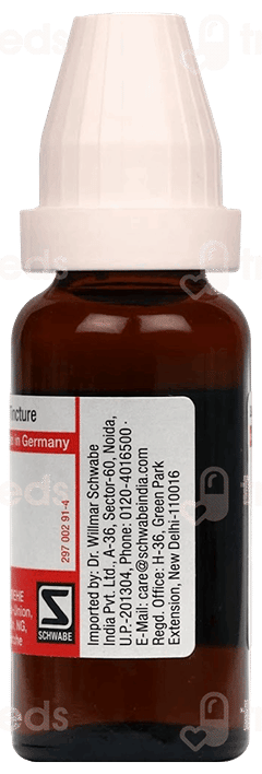 Dr Willmar Schwabe Carduus Marianus Q Mother Tincture 20Ml