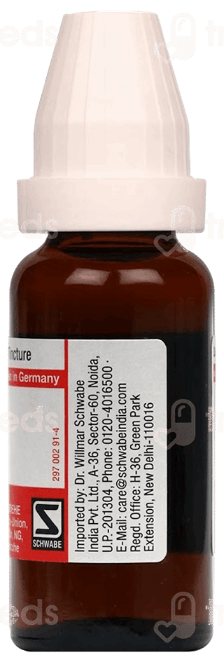 Dr Willmar Schwabe Carduus Marianus Q Mother Tincture 20Ml