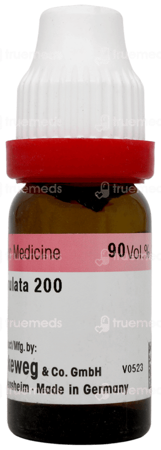 Dr Reckeweg Sabal Serrulata 200 Dilution 11ml