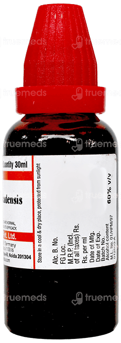 Dr Willmar Schwabe Sanguinaria Canadensis Q Mother Tincture 30Ml
