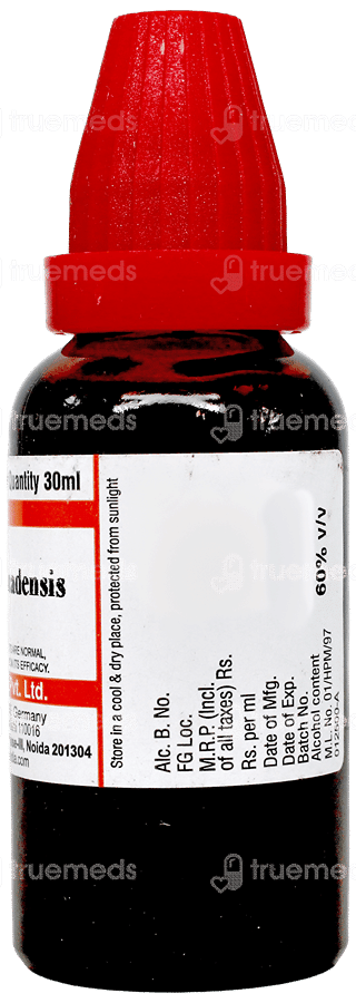 Dr Willmar Schwabe Sanguinaria Canadensis Q Mother Tincture 30Ml