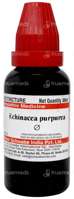 Dr Willmar Schwabe Echinacea Purpurea Q Mother Tincture 30ml