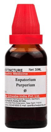 Dr Willmar Schwabe Eupatorium Purpurium Q Mother Tincture 30ml Dr Willmar Schwabe Eupatorium Purpurium Q Mother Tincture 30ml