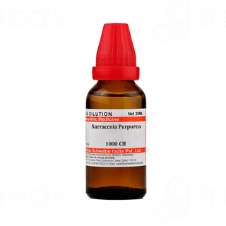 Sbl Sarracenia Purpurea 1000ch Dilution 30ml