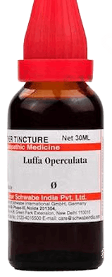 Dr Willmar Schwabe Luffa Operculata Q Mother Tincture 30ml Dr Willmar Schwabe Luffa Operculata Q Mother Tincture 30ml