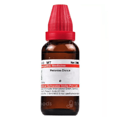 Dr Willmar Schwabe Helonias Dioica Q Mother Tincture 30ml Dr Willmar Schwabe Helonias Dioica Q Mother Tincture 30ml