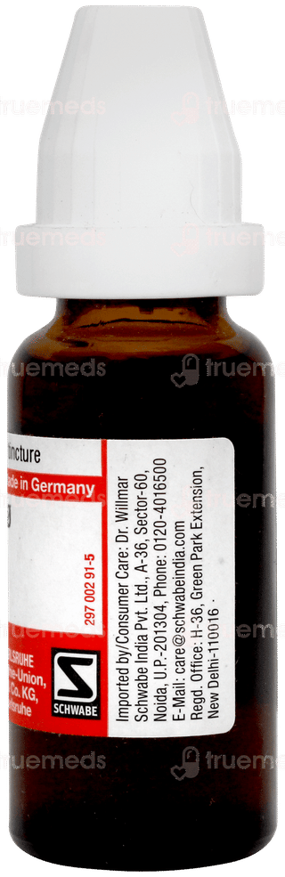 Dr Willmar Schwabe Chelidonium Majus Q Mother Tincture 20ml