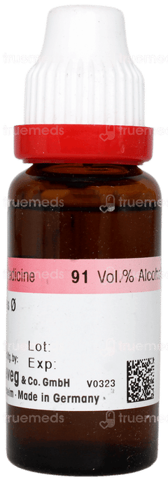 Dr Reckeweg Agnus Castus Q Mother Tincture 20ml Dr Reckeweg Agnus Castus Q Mother Tincture 20ml