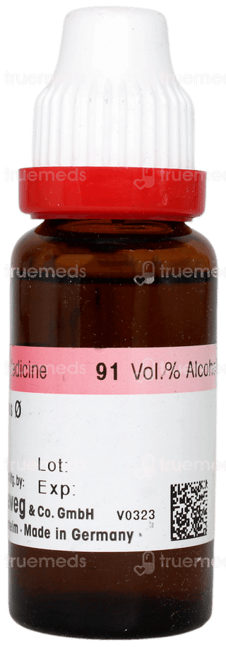 Dr Reckeweg Agnus Castus Q Mother Tincture 20ml