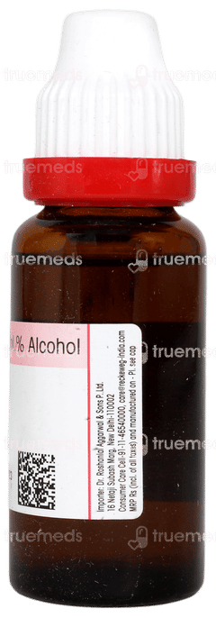 Dr Reckeweg Agnus Castus Q Mother Tincture 20ml Dr Reckeweg Agnus Castus Q Mother Tincture 20ml