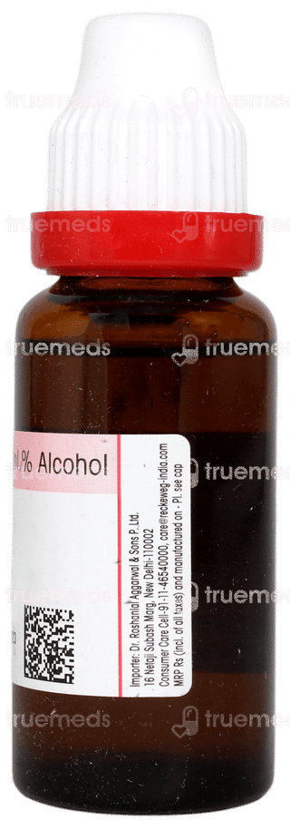 Dr Reckeweg Agnus Castus Q Mother Tincture 20ml