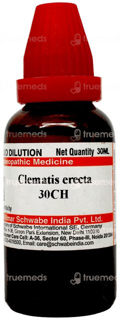 Dr Willmar Schwabe Clematis Erecta 30ch Dilution 30ml